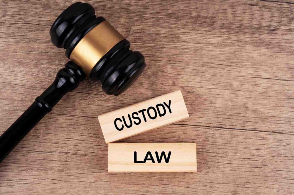 Custody Battle